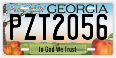 GA license plate PZT2056