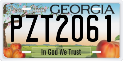 GA license plate PZT2061