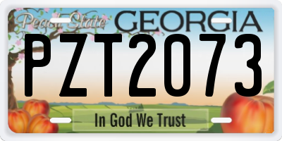 GA license plate PZT2073