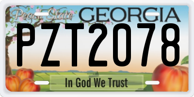 GA license plate PZT2078