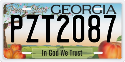 GA license plate PZT2087