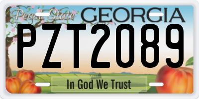 GA license plate PZT2089