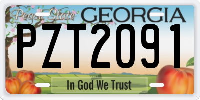 GA license plate PZT2091