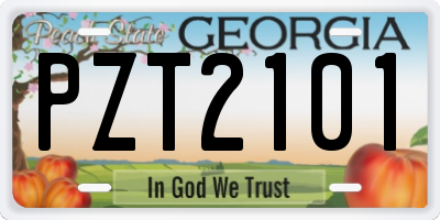 GA license plate PZT2101