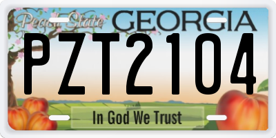 GA license plate PZT2104