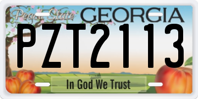 GA license plate PZT2113