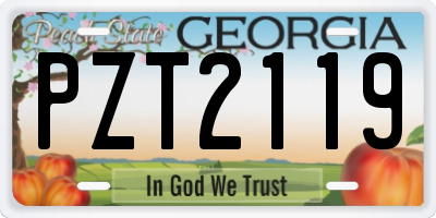 GA license plate PZT2119