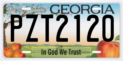 GA license plate PZT2120