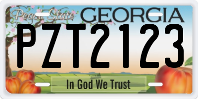 GA license plate PZT2123