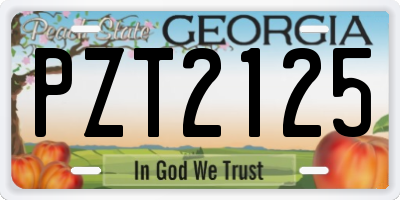 GA license plate PZT2125