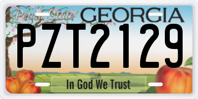 GA license plate PZT2129