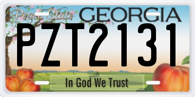 GA license plate PZT2131