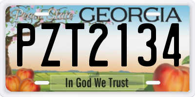 GA license plate PZT2134