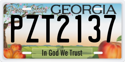 GA license plate PZT2137