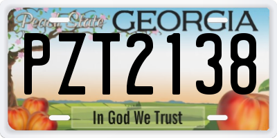 GA license plate PZT2138
