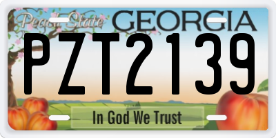 GA license plate PZT2139