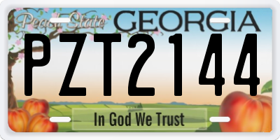 GA license plate PZT2144