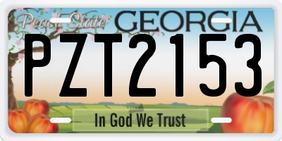 GA license plate PZT2153