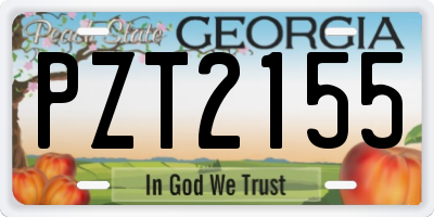 GA license plate PZT2155