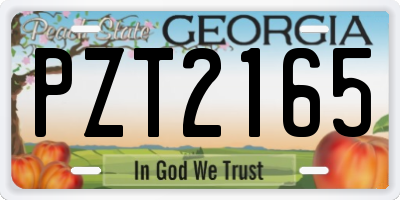 GA license plate PZT2165