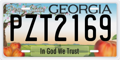 GA license plate PZT2169