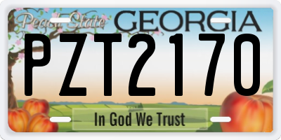 GA license plate PZT2170