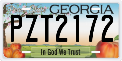 GA license plate PZT2172