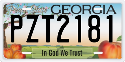 GA license plate PZT2181