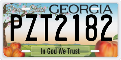 GA license plate PZT2182