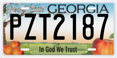 GA license plate PZT2187