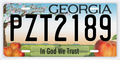 GA license plate PZT2189