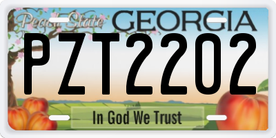 GA license plate PZT2202