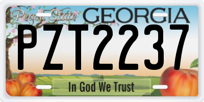 GA license plate PZT2237