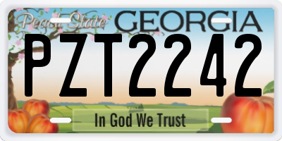 GA license plate PZT2242