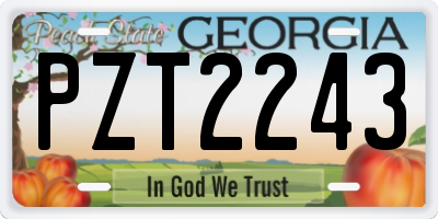 GA license plate PZT2243
