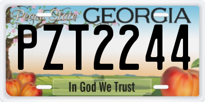 GA license plate PZT2244