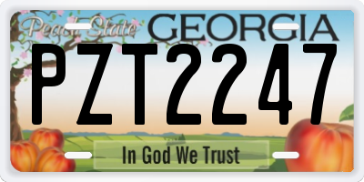 GA license plate PZT2247