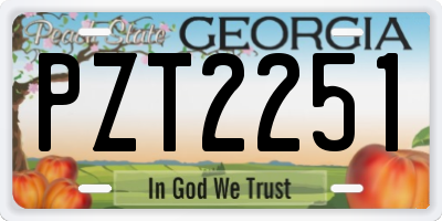 GA license plate PZT2251
