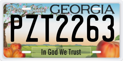 GA license plate PZT2263