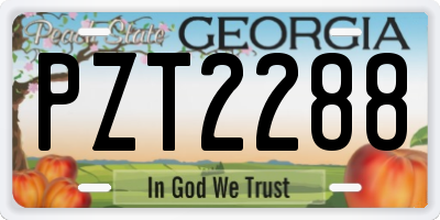 GA license plate PZT2288