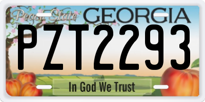 GA license plate PZT2293