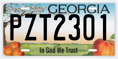 GA license plate PZT2301