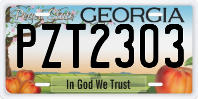 GA license plate PZT2303