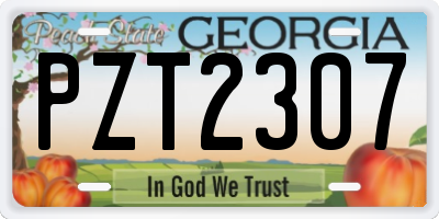 GA license plate PZT2307