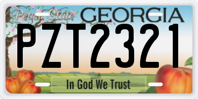 GA license plate PZT2321