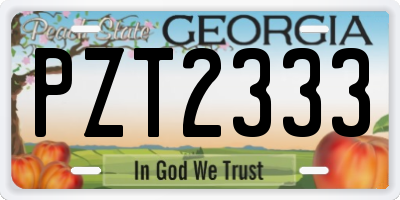 GA license plate PZT2333
