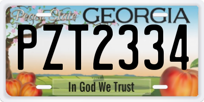 GA license plate PZT2334