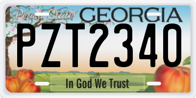GA license plate PZT2340
