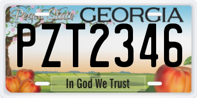 GA license plate PZT2346