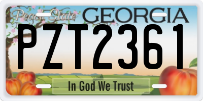 GA license plate PZT2361